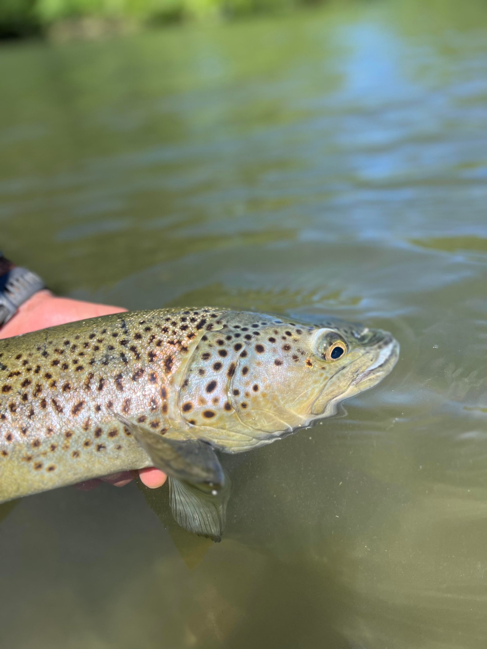 River fishing